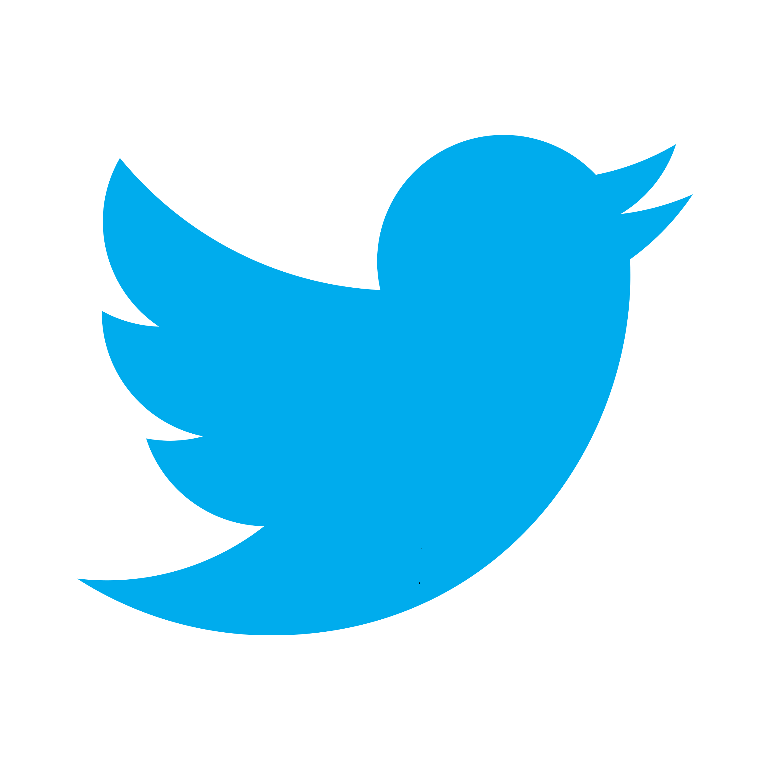 Twitterbirdlogo